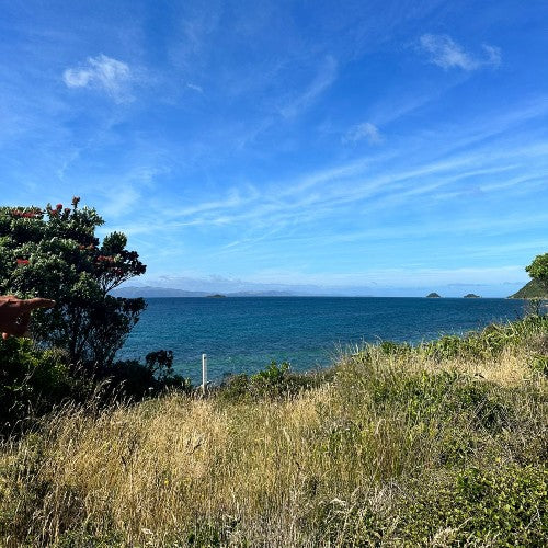 Getting Back to Nature: Kāpiti Island