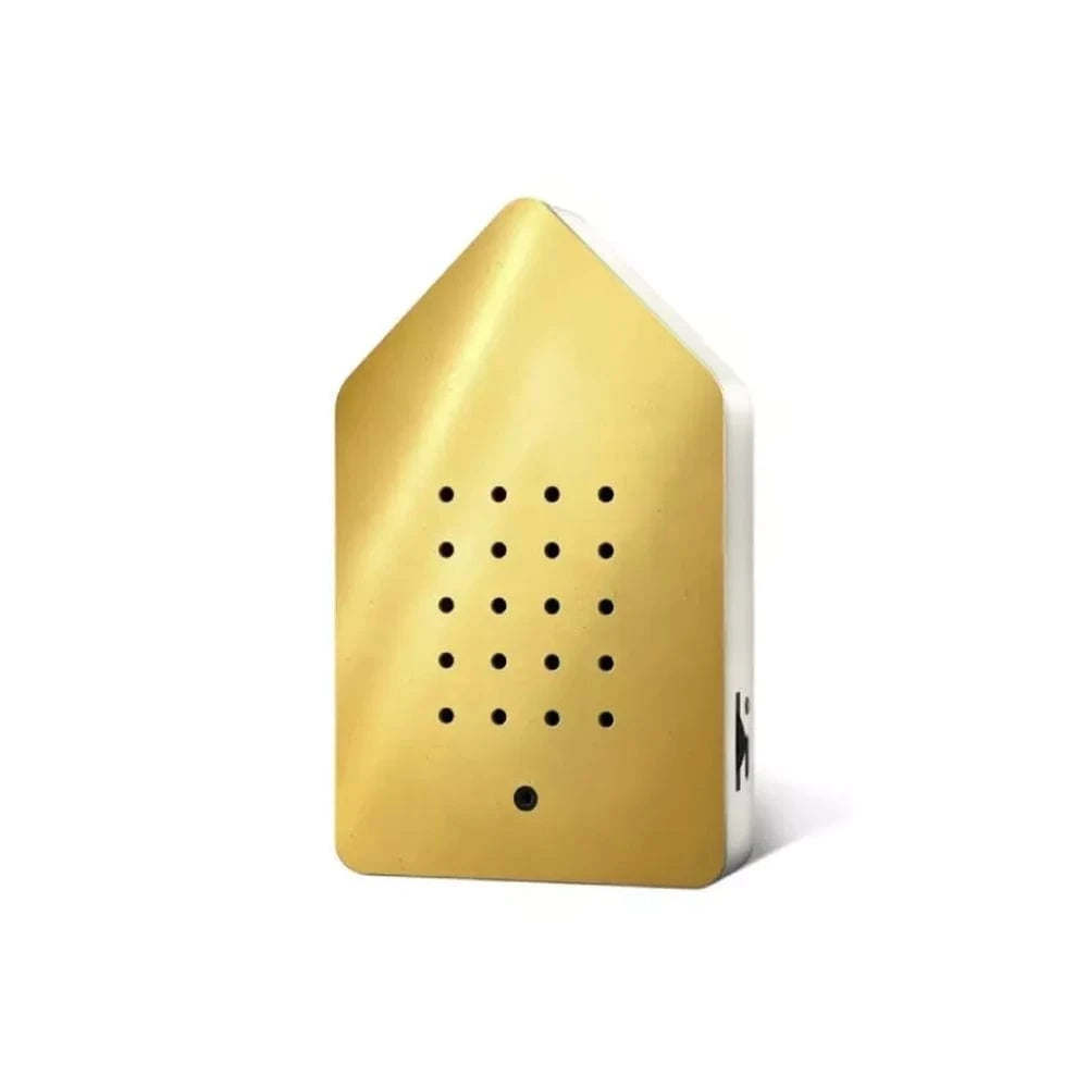Birdybox | Golden Brass