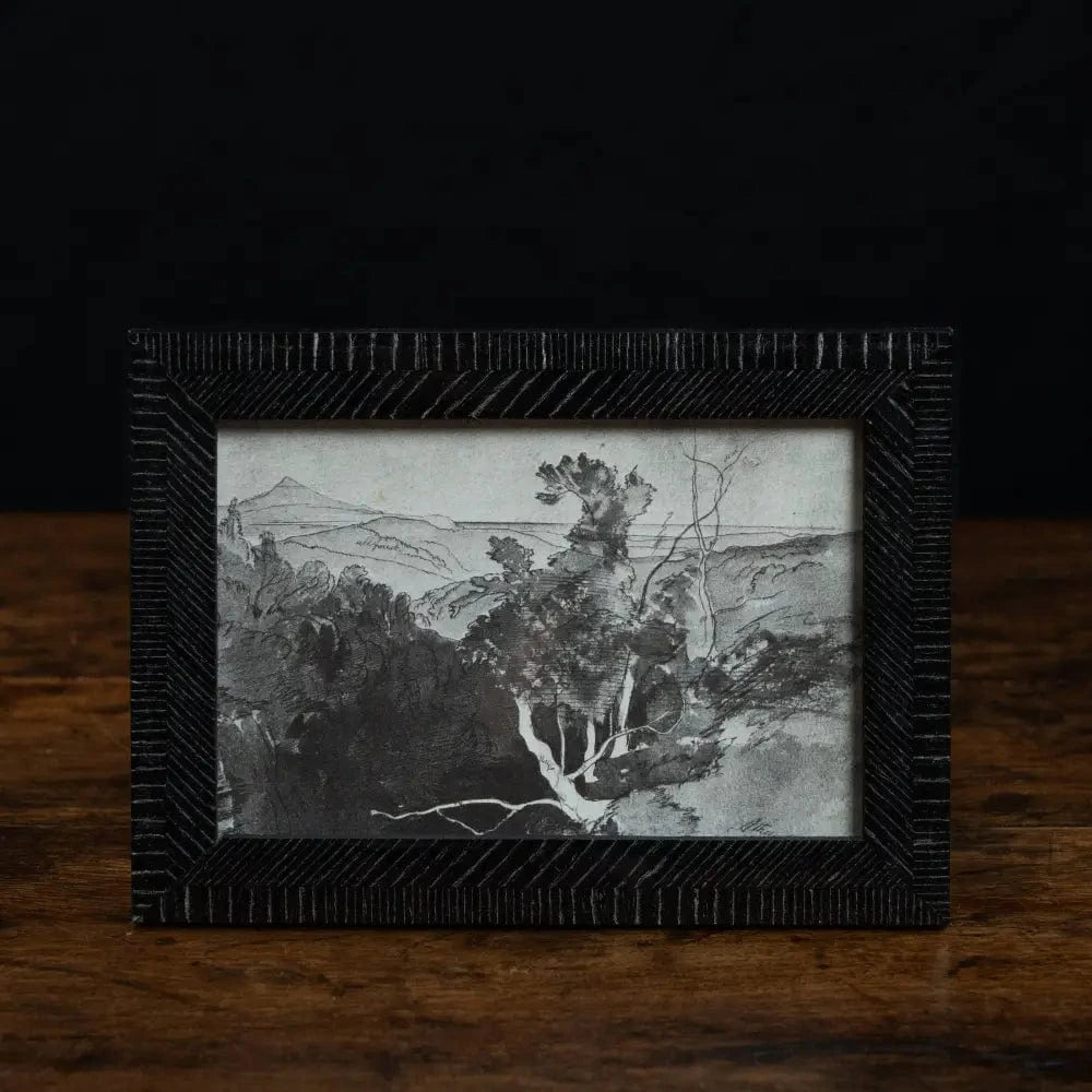 Natalini Biante Wenge Fine Frame