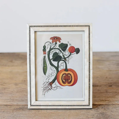 Natalini Elegant White Frame