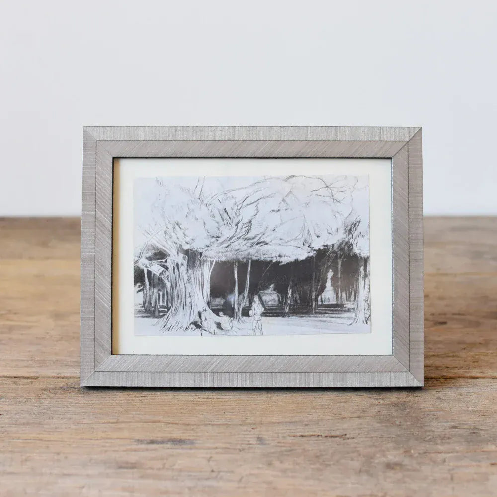 Natalini Light Grigio Frame