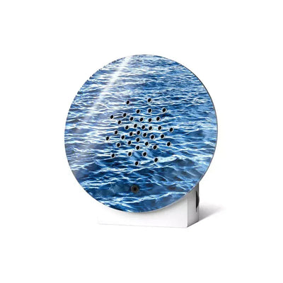 Oceanbox | Blue Waves