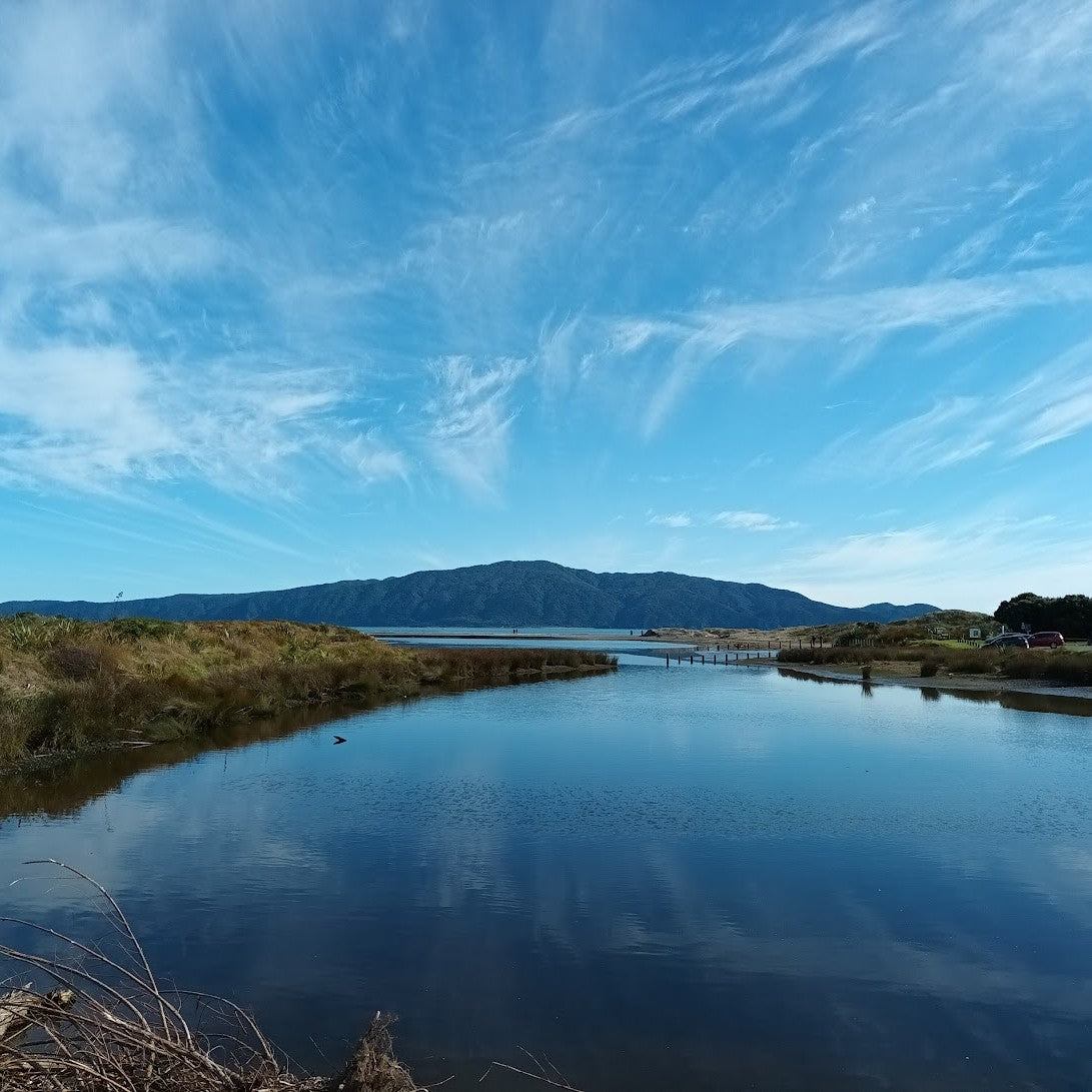 Day trip to the Kāpiti Coast!