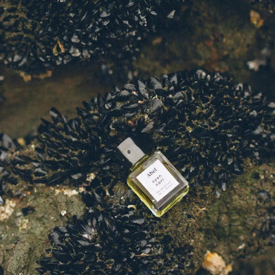 Abel Fragrance Parfum Extrait | Cyan Nori 7ml