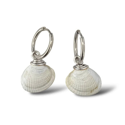 Cockle Shell Hoop Earrings | Stainless Steel