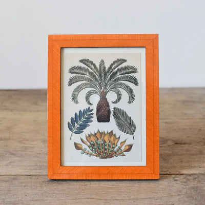 Natalini Biante Orange Frame