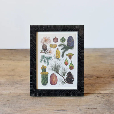 Natalini Biante Wenge Fine Frame