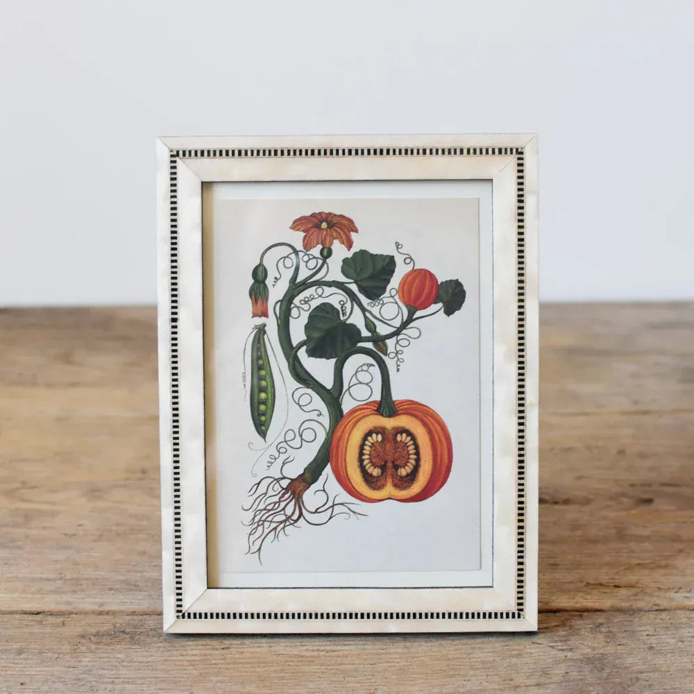 Natalini Elegant White Frame