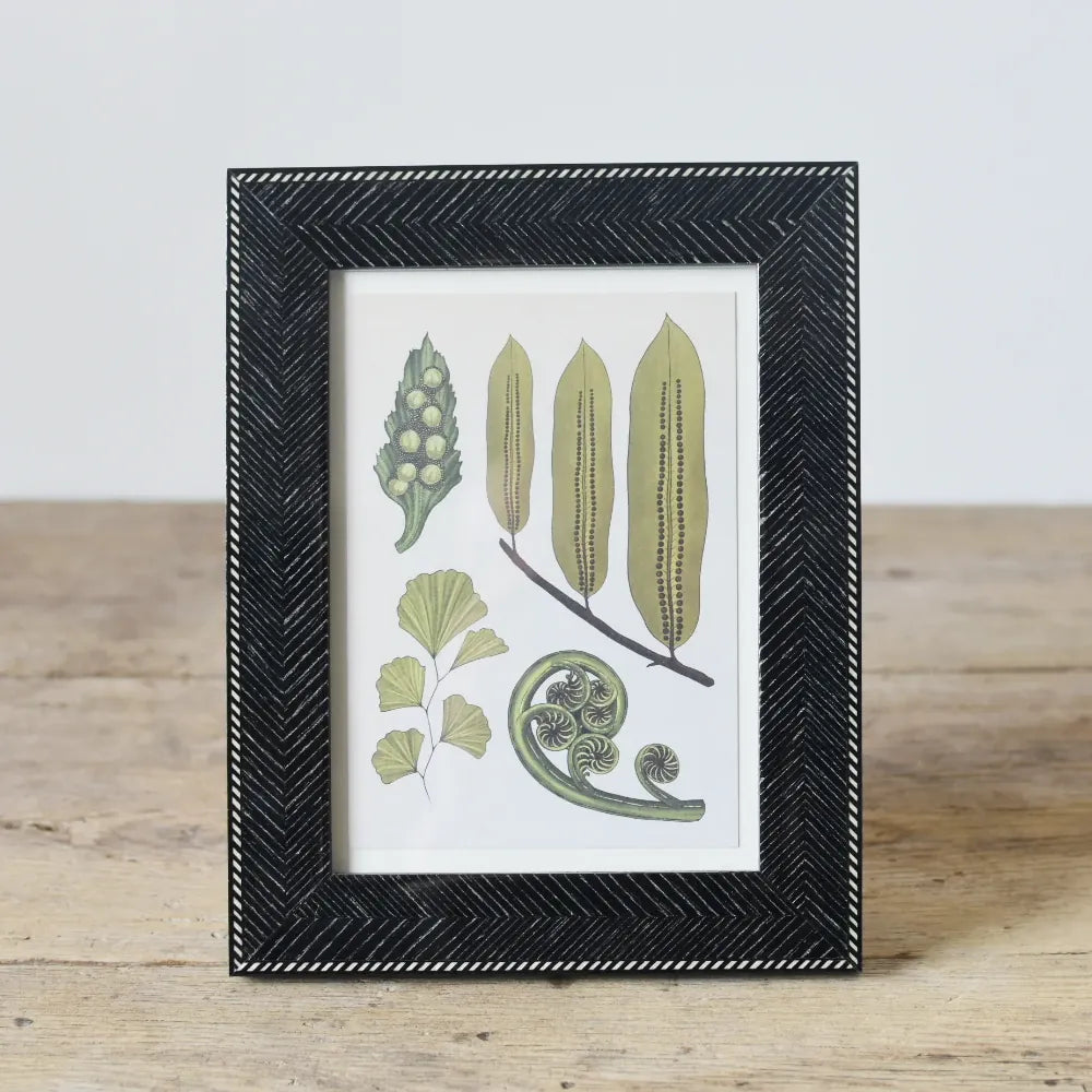 Natalini Wenge Frame