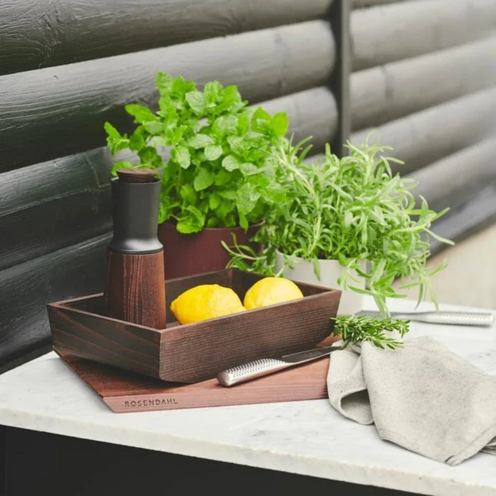 Rosendahl RA Condiment Caddy | Thermo Ash