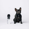 Thirsty Dog Bottle | Black