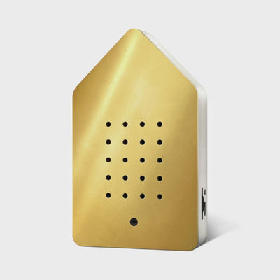Birdybox | Golden Brass