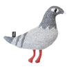 Grey Main Sauvage Pigeon