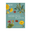 Growing Medicinal Plants | Kew Royal Botanic Gardens