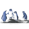 Organic Cotton Tea Towel | Little Blue Penguins