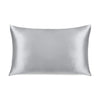 Silver Mulberry | Organic Silk Pillowcase | Silver